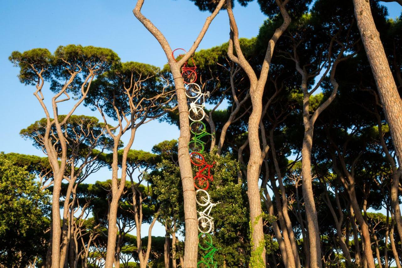 Hu Park Albatros Village Σαν Βιντσέντσο Εξωτερικό φωτογραφία